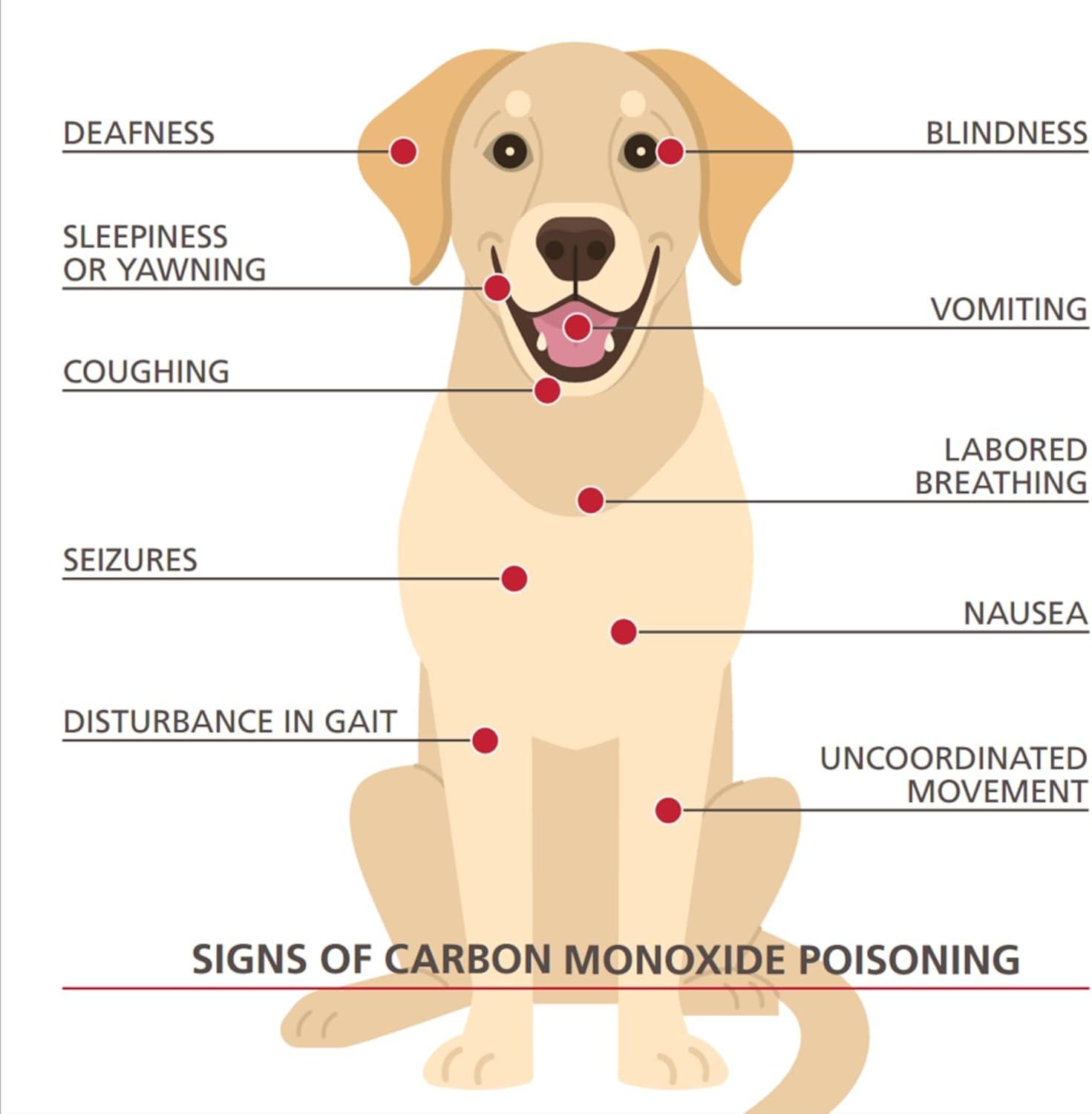 imageKidde UltraSensitive Carbon Monoxide Detector for Pets Health or Medical Conditions Battery Powered with Digital Display UNIT