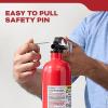 imageKidde FA110G Multi Purpose Fire Extinguisher for Home Office Dorm Residential 1A10BC2 Pack