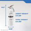 imageKidde Fire Extinguisher for Boats SingleUse 2A10BCMAR10