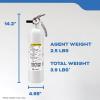 imageKidde Fire Extinguisher for Boats SingleUse 2A10BCMAR110
