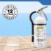 imageKidde Fire Extinguisher for Boats SingleUse 2A10BCMAR210