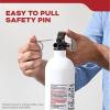 imageKidde Fire Extinguisher for Vehicles Cars Trucks SingleUse 5BCM10G