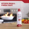 imageKidde Flame Out Fire Spray Extinguishing Aerosol for Home Use Kitchens Dorms Apartments Compact Portable ampamp Easy to Use NonToxic 176 oz 1 Pack2 Pack